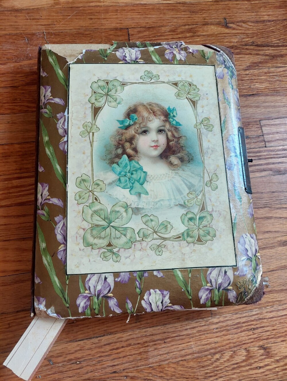 Antique Victorian Celluloid Photo Album ( Fair) W/ Dried Clover (C)